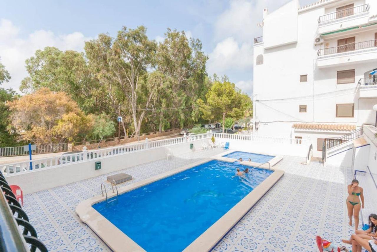 Playa Flamenca Splendid Apartment On The Beach Αλικάντε Εξωτερικό φωτογραφία
