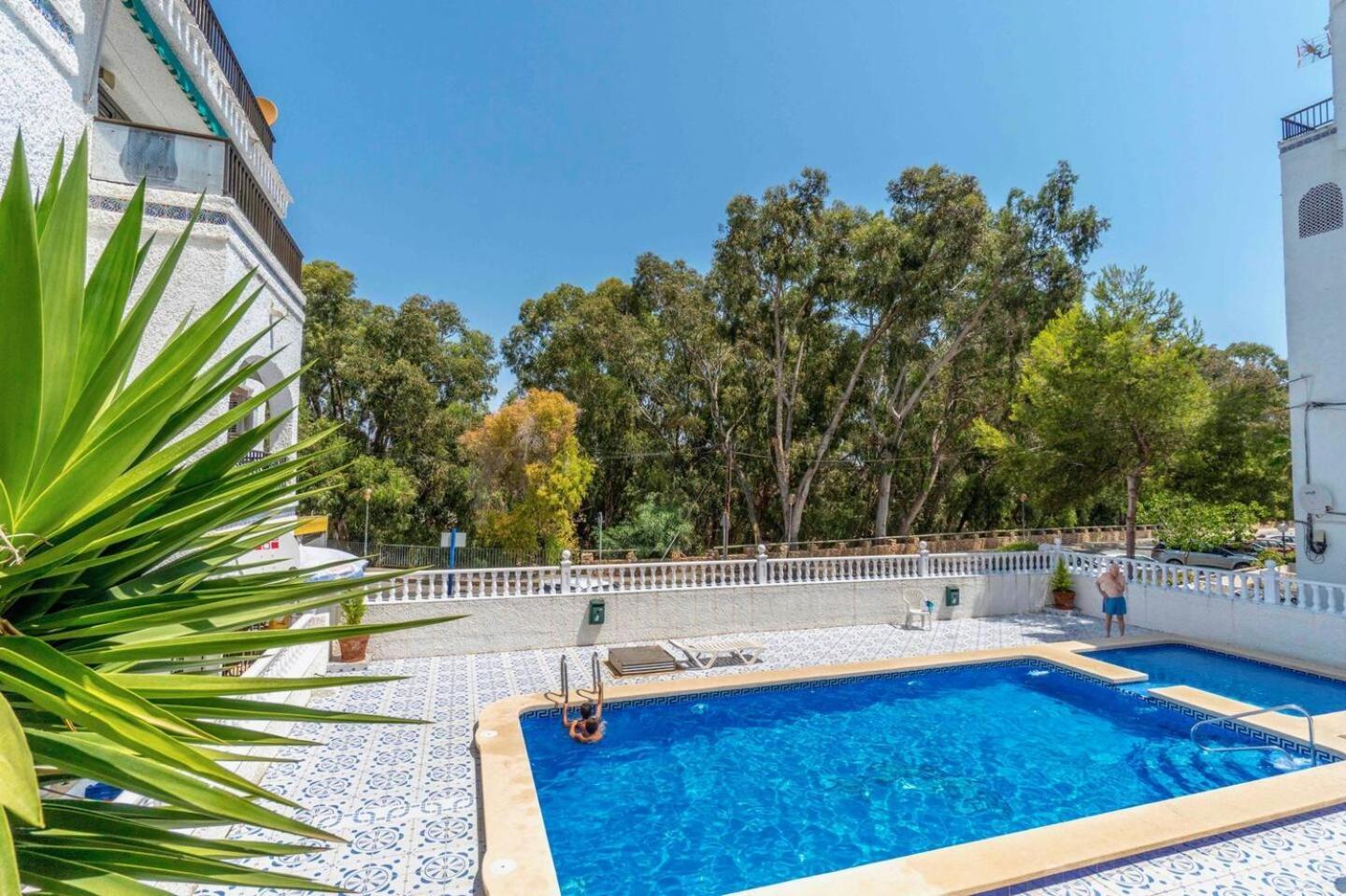 Playa Flamenca Splendid Apartment On The Beach Αλικάντε Εξωτερικό φωτογραφία