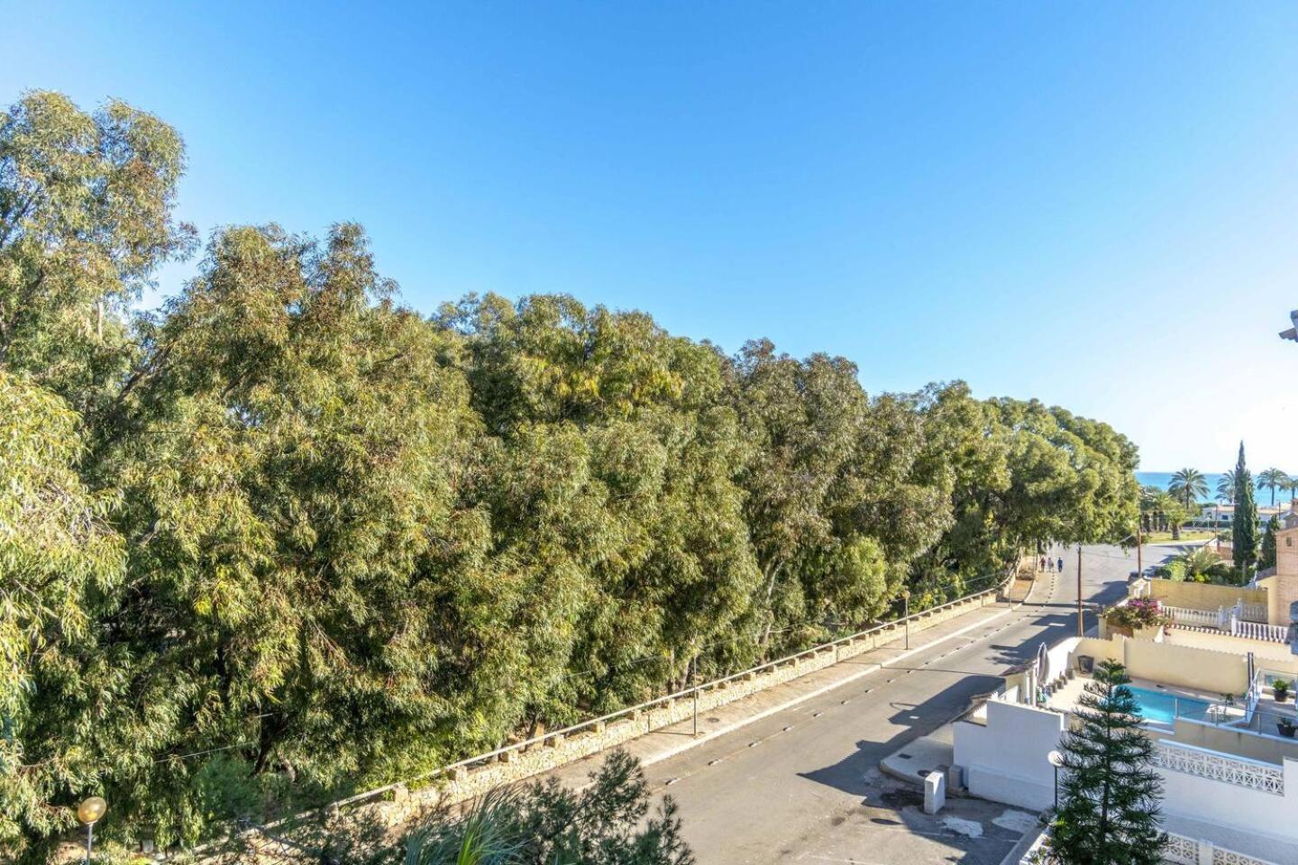 Playa Flamenca Splendid Apartment On The Beach Αλικάντε Εξωτερικό φωτογραφία
