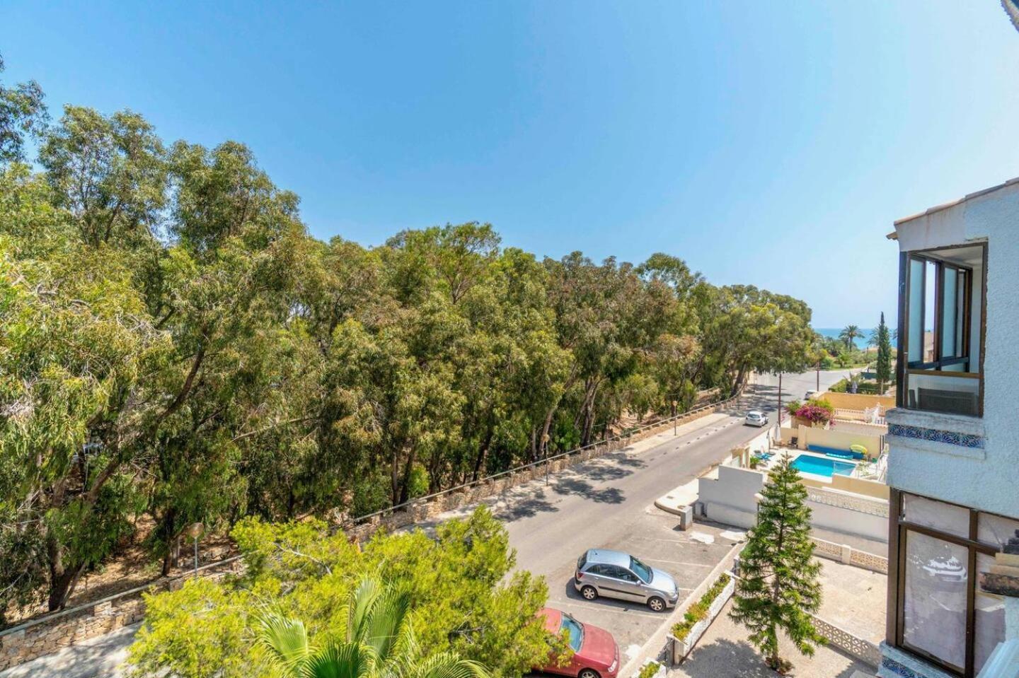 Playa Flamenca Splendid Apartment On The Beach Αλικάντε Εξωτερικό φωτογραφία